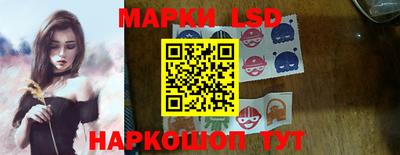 apvp Свободный