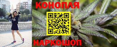 альфа пвп Севастополь