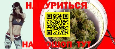 apvp Свободный